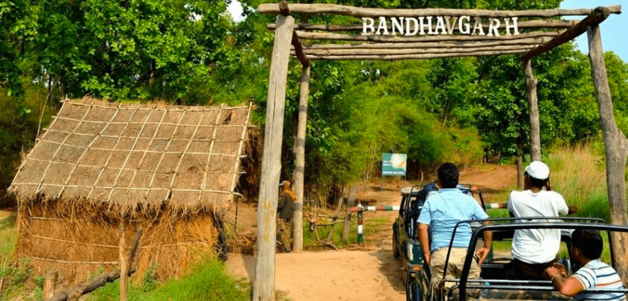 Bandhavgarh National Park