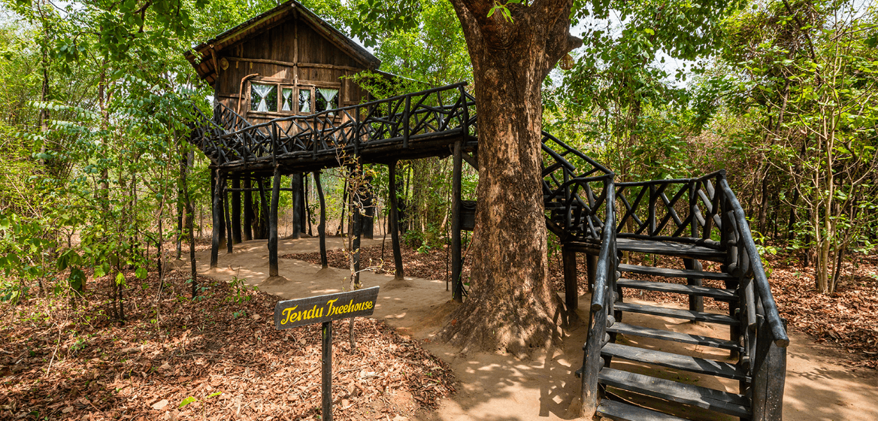 Kanha national Park