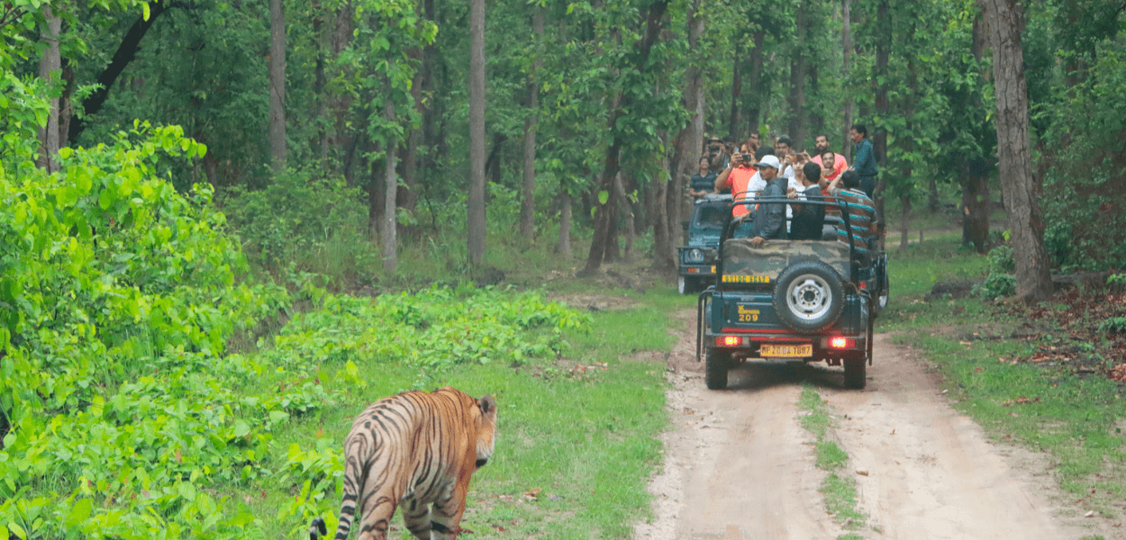 Keoladeo National Park