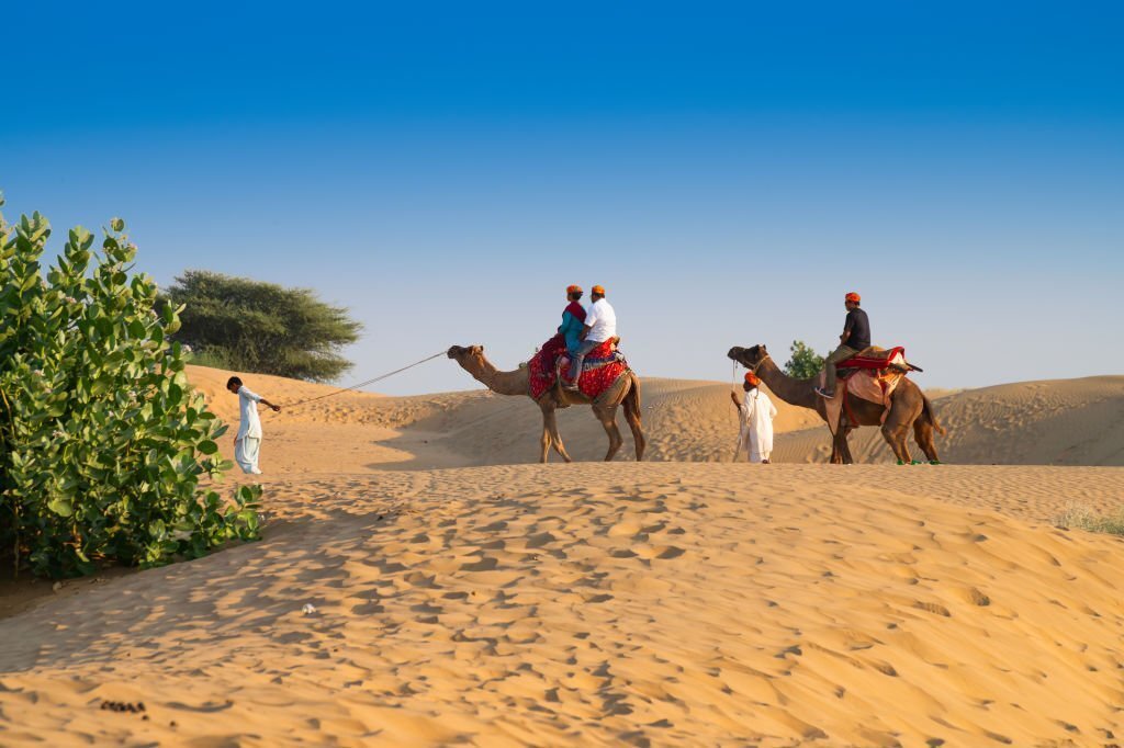 Camel Safari