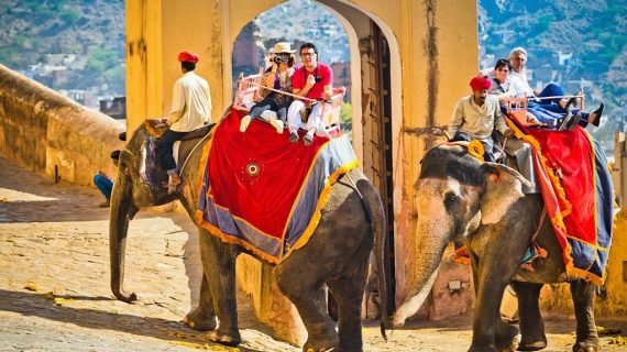 Elephant Ride