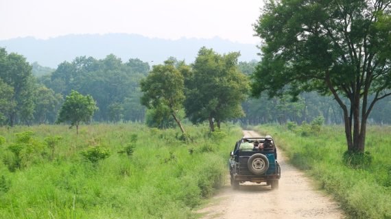 Jeep Safari