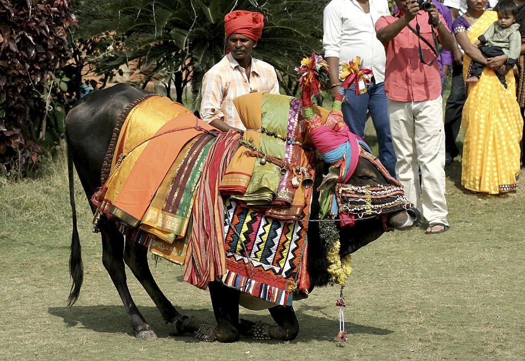 Pongal