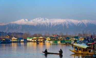 Kashmir Honeymoon Tour - Tulip Festival