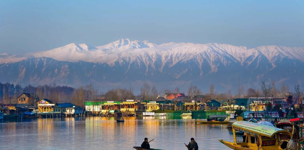 Kashmir Honeymoon Tour - Tulip Festival