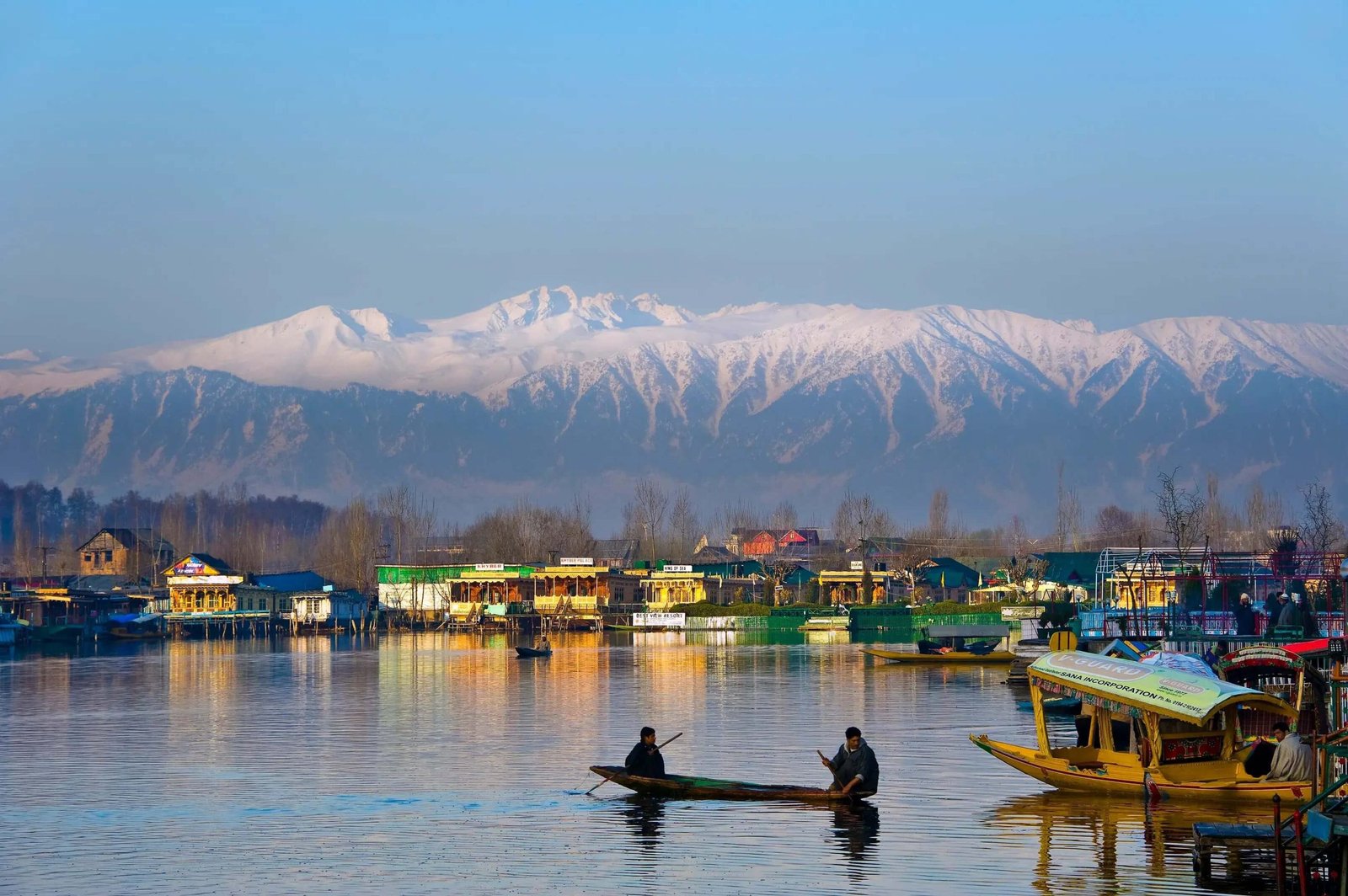 Kashmir Honeymoon Tour - Tulip Festival