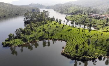 munnar