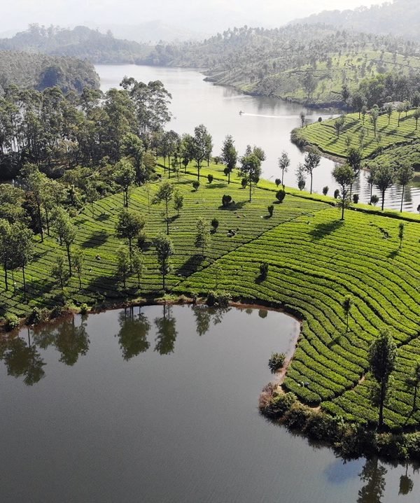 munnar