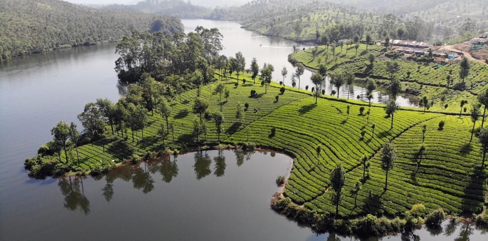 munnar